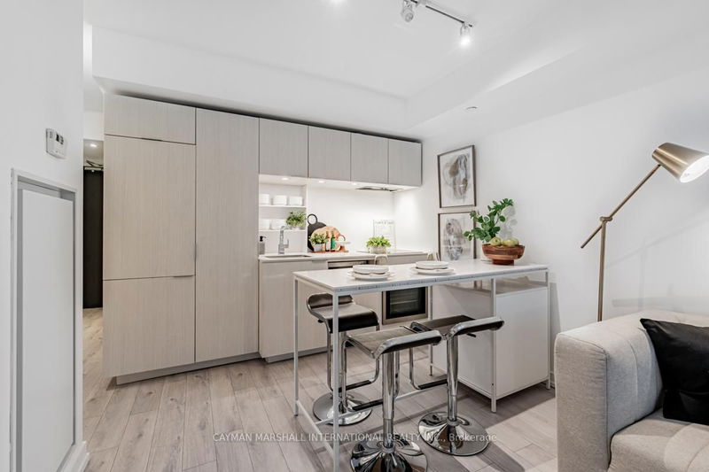 Preview image for 77 Shuter St S #303, Toronto