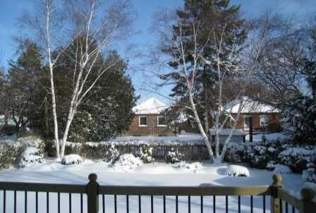Preview image for 9 Evan Rd, Toronto