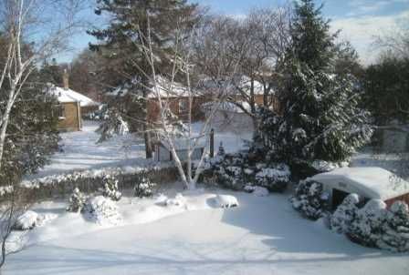 Preview image for 9 Evan Rd, Toronto