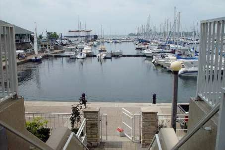 Preview image for 32 Stadium Road St #377, Toronto