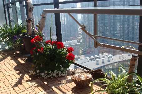 Preview image for 25 Capreol Crt #3809, Toronto