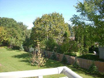 Preview image for 17 Ruddington Dr #208, Toronto
