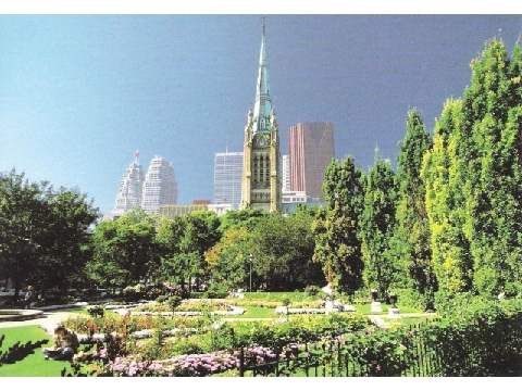Preview image for 115 Richmond St E #203, Toronto