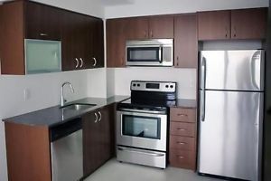 Preview image for 150 East Liberty St #1208, Toronto