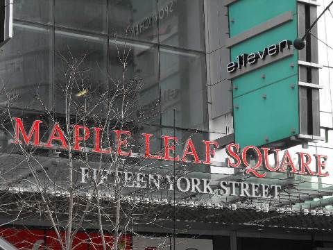 Preview image for 65 Bremner Blvd #2908, Toronto