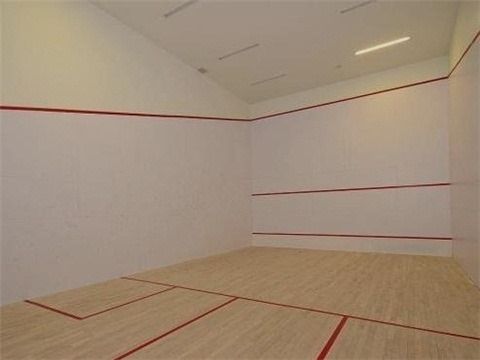 Preview image for 151 Dan Leckie Way #906, Toronto
