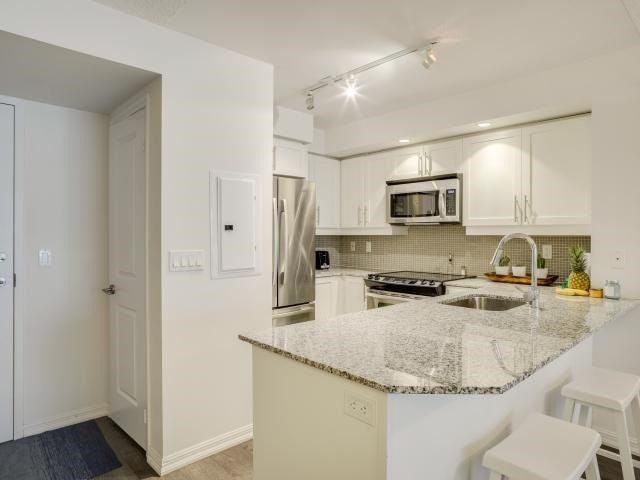 Preview image for 75 East Liberty St E #519, Toronto