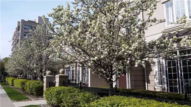 Preview image for 3 Rean Dr #313, Toronto