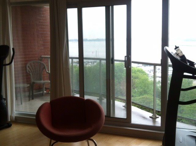 Preview image for 550 Queens Quay W #916, Toronto
