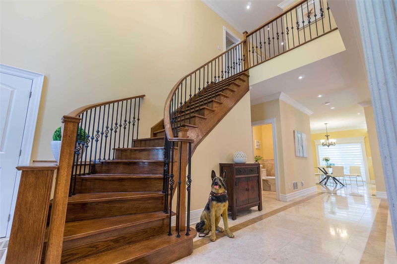 Preview image for 9 Evan Rd, Toronto