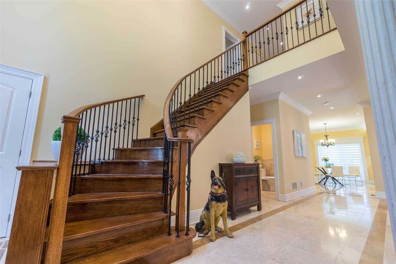 Preview image for 9 Evan Rd, Toronto