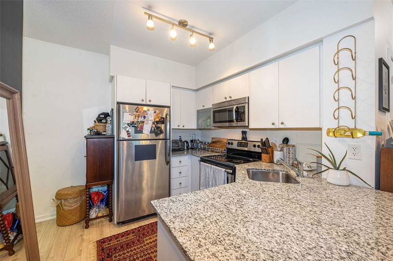 Preview image for 55 East Liberty St #309, Toronto