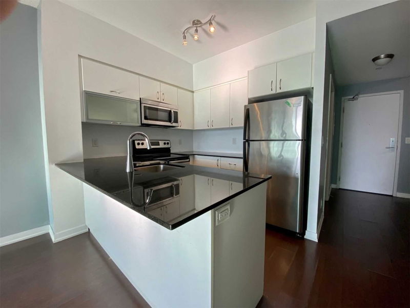 Preview image for 150 East Liberty St #507, Toronto