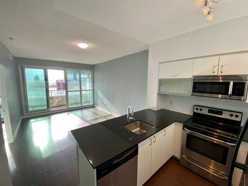 Preview image for 150 East Liberty St #507, Toronto