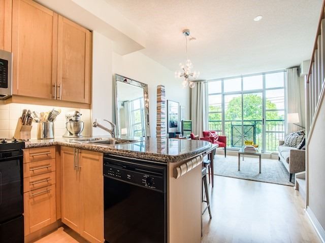 Preview image for 901 Queen St W #429, Toronto