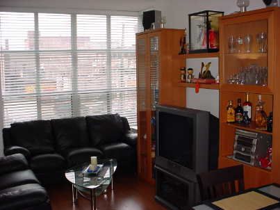 Preview image for 438 Richmond St W #209, Toronto