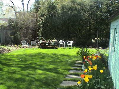 Preview image for 358 Willowdale Ave, Toronto
