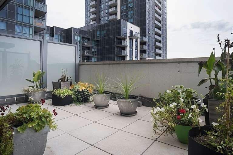 Preview image for 30 Meadowglen Pl #205, Toronto