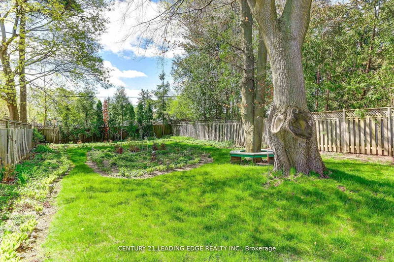 Preview image for 19 Royaleigh Ave, Toronto