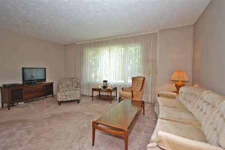 Preview image for 189 Elmhurst Dr, Toronto