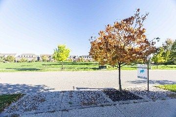 Preview image for 253 Roxton Rd, Oakville