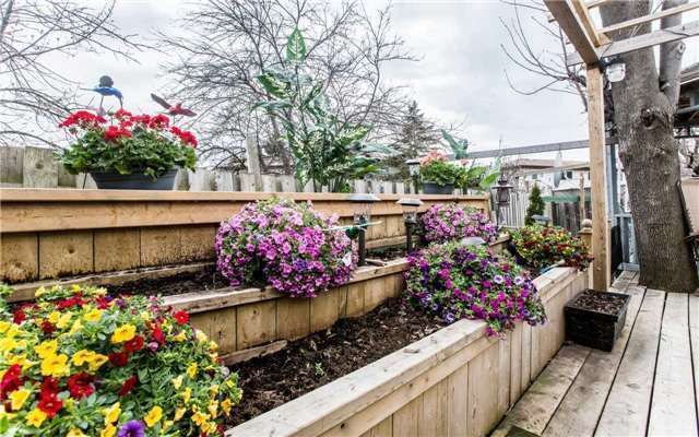 Preview image for 49 Bruce Beer Dr, Brampton