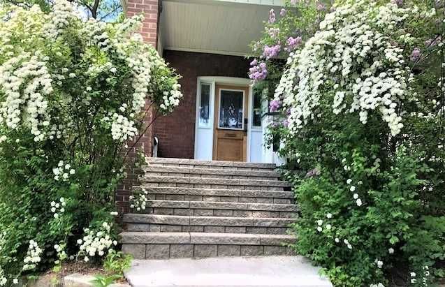 Preview image for 245 Indian Grve, Toronto