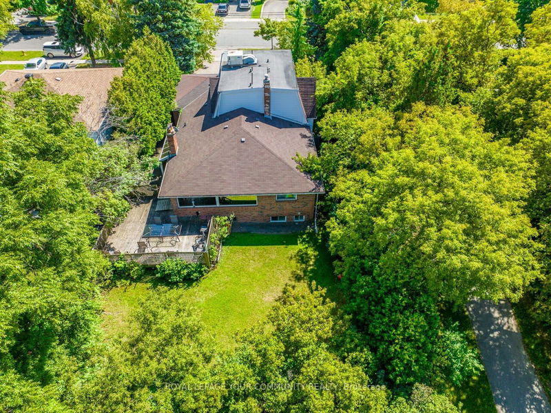 Preview image for 248 Rustic Rd, Toronto