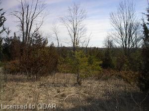 Preview image for Shannon Road,  Tyend