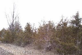 Preview image for Shannon Rd Tyendinag