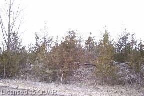 Preview image for Shannon Rd Tyendinag