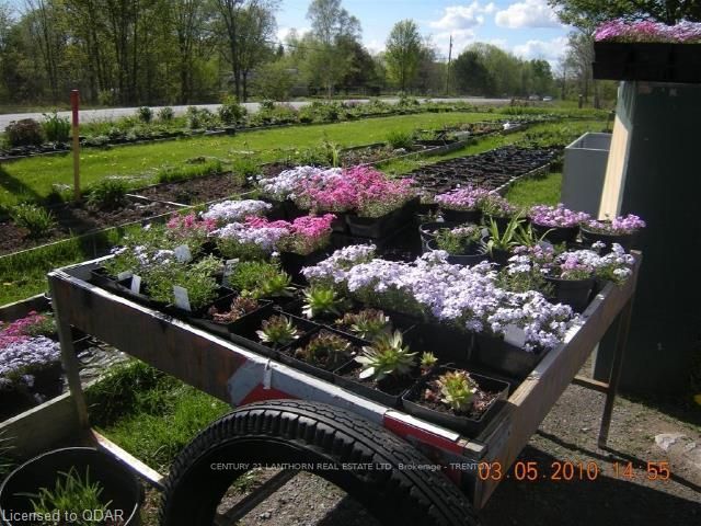 Preview image for 5852 Stirling-Marmora Rd