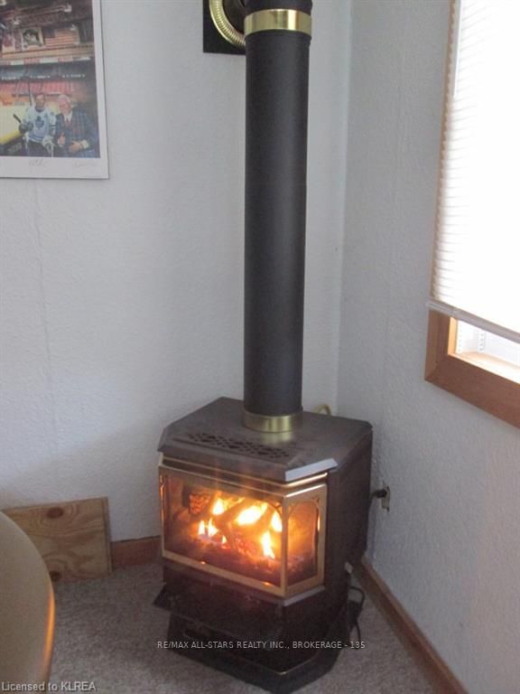 Preview image for 15 Homewood Ave, Kawartha Lakes