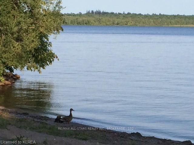 Preview image for Crane Bay Rd, Kawartha Lakes