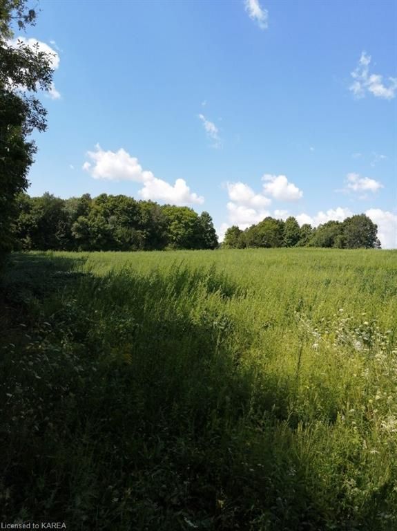 Preview image for 554 Kennelly Road, Marysville